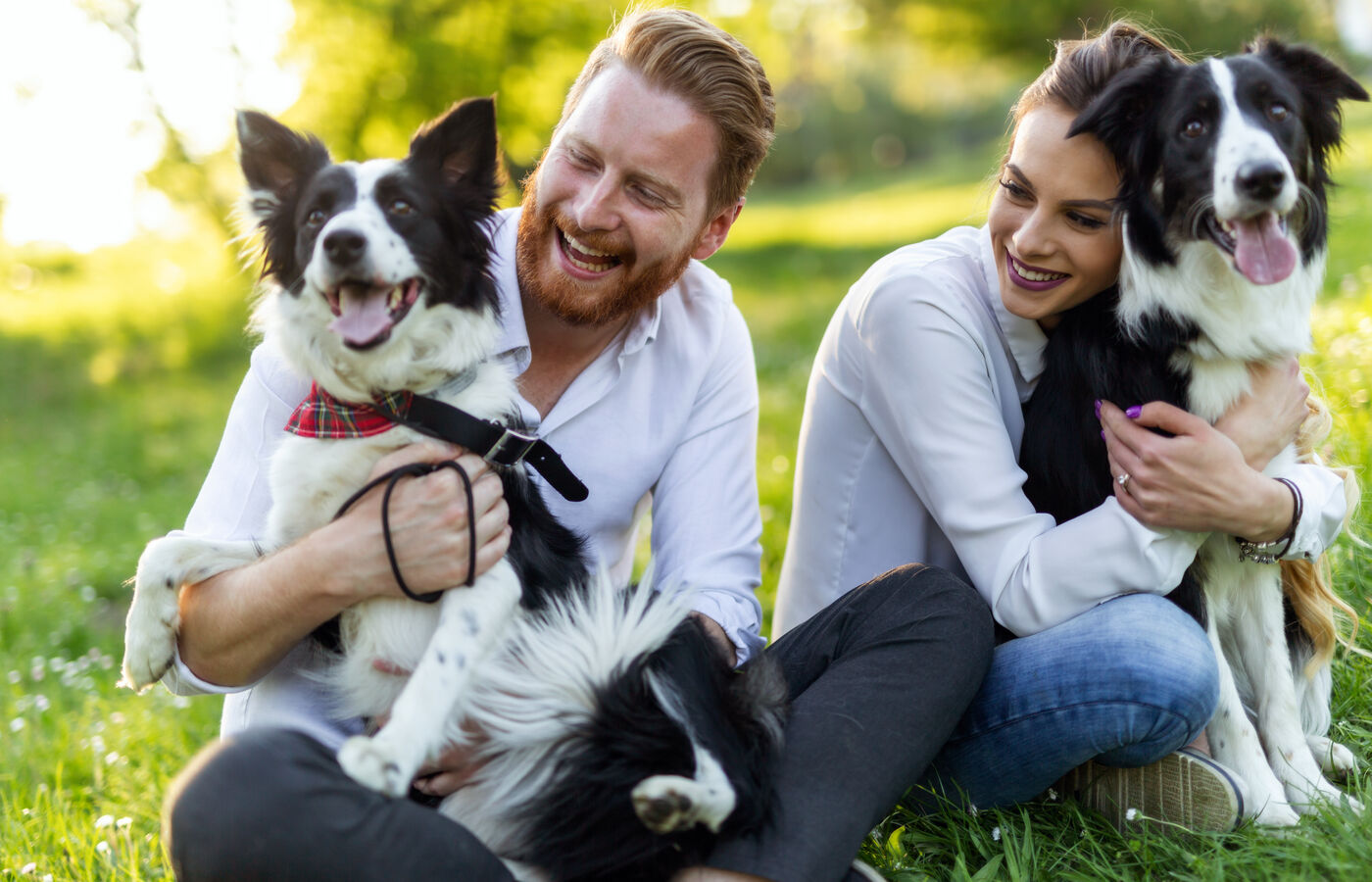 A couple laughing outdoors with their two border collies