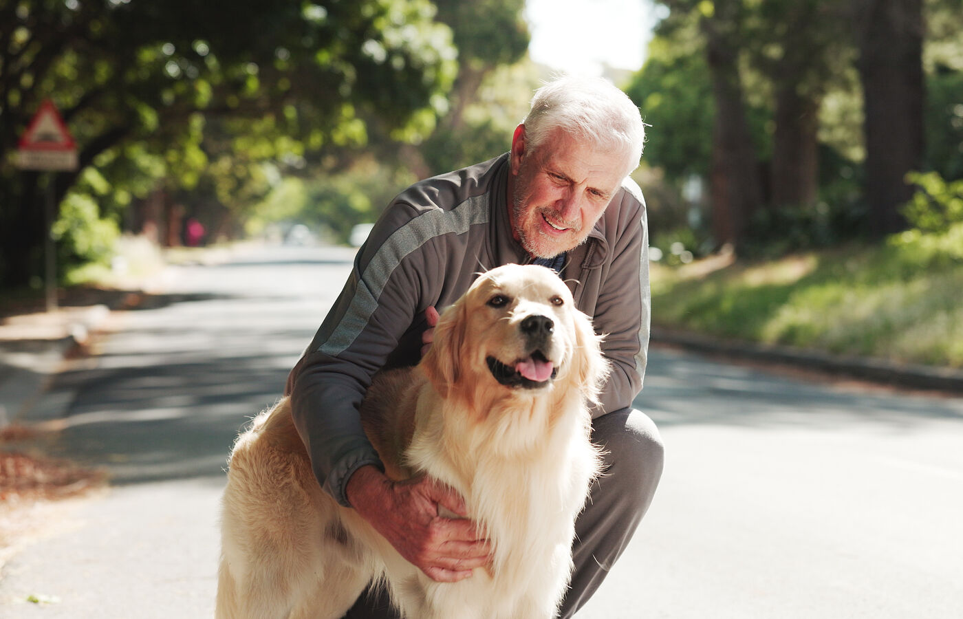 A senior man kneeling with his golden retriever on a sunny street