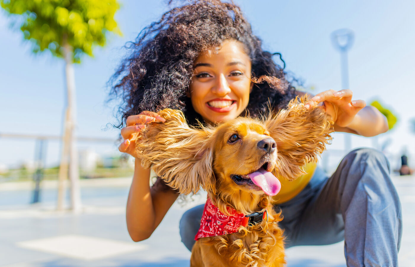 A joyful owner playing with her cocker spaniel outdoors
