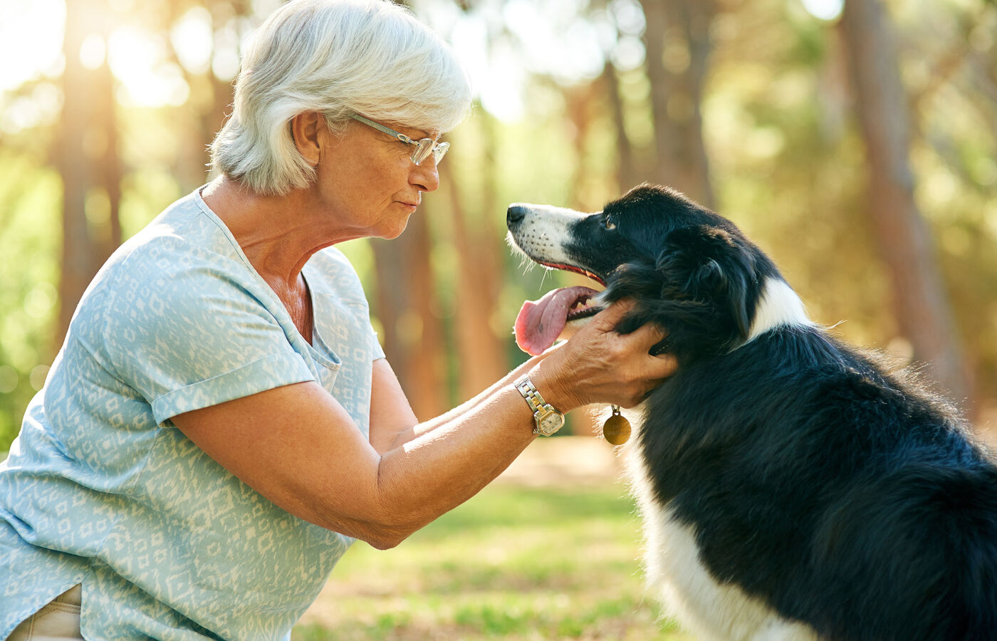 A senior woman gently touching noses with her border collie