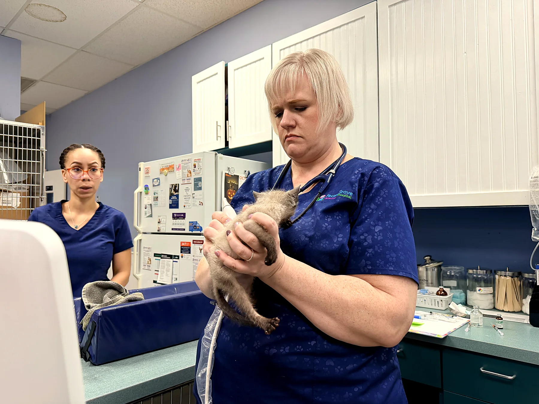 A Pecan Grove nurse holding a kitten